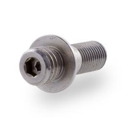 FLM screw 3/8 inch for the older CP series.